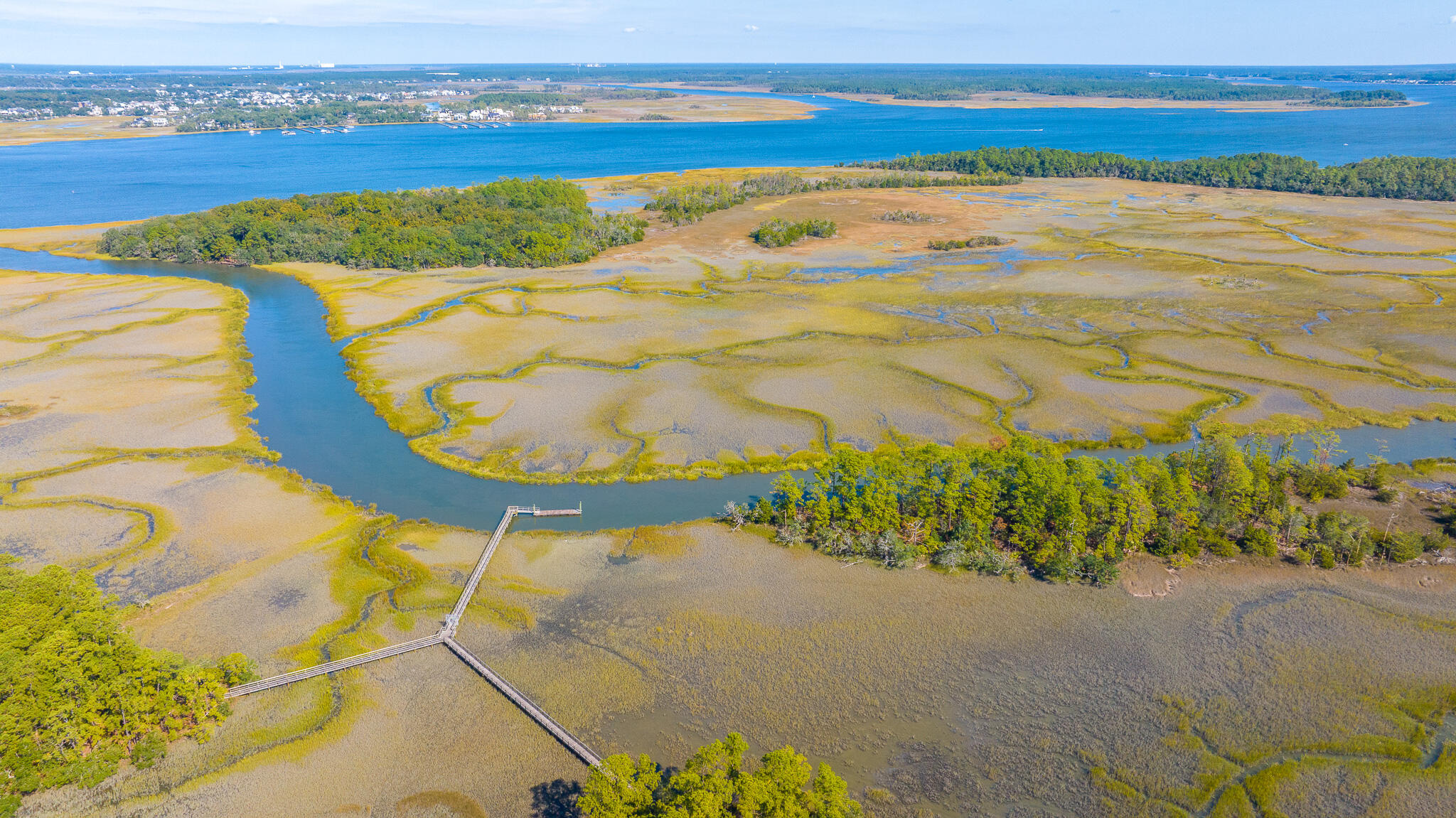 246 Slipper Shell Court Mount Pleasant, SC 29464 - Photo 3 of 41 Community Dock