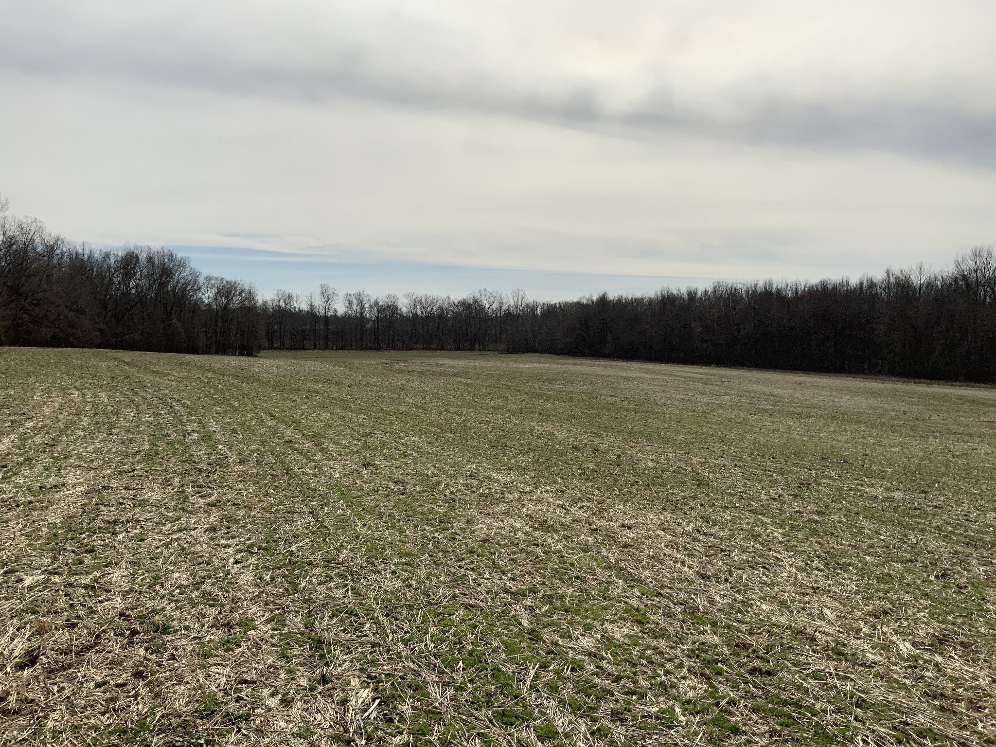 0 Ross Road McKenzie, TN 38201 - Photo 14 of 30 a view of an ocean and mountain