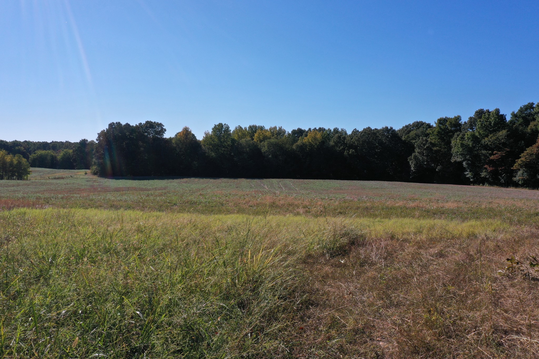 0 Ross Road McKenzie, TN 38201 - Photo 15 of 30 a view of a field with trees in background