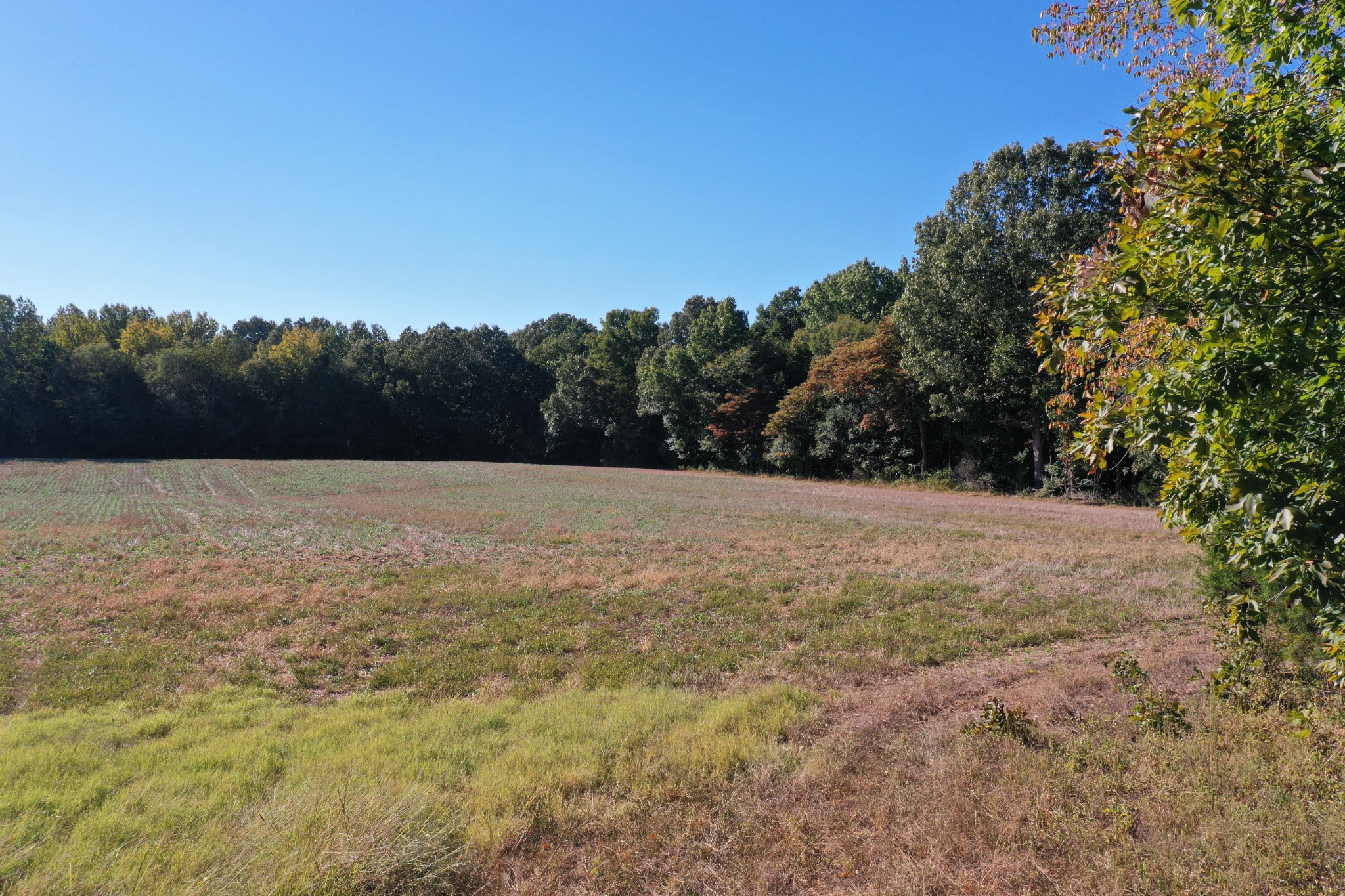 0 Ross Road McKenzie, TN 38201 - Photo 17 of 30 a view of basketball court