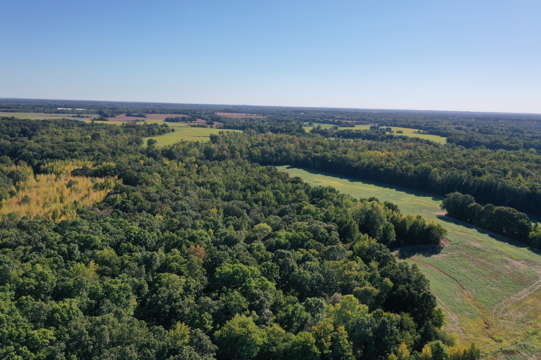 0 Ross Road McKenzie, TN 38201 - Photo 20 of 30 an aerial view of a house with a yard