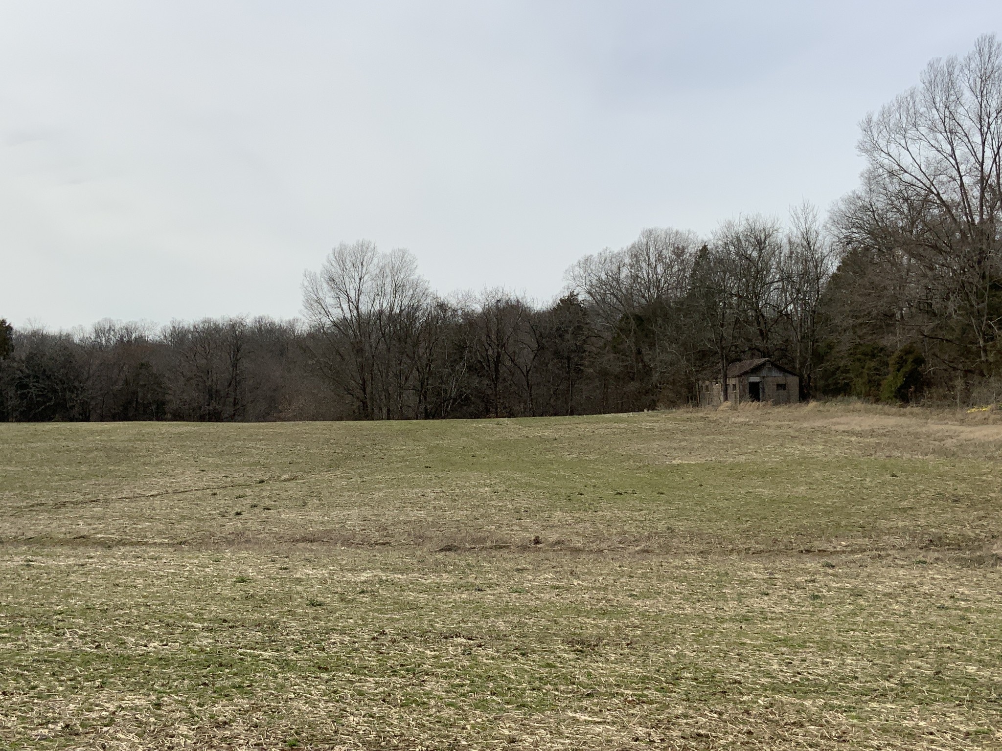 0 Ross Road McKenzie, TN 38201 - Photo 21 of 30 a view of a field with trees in it