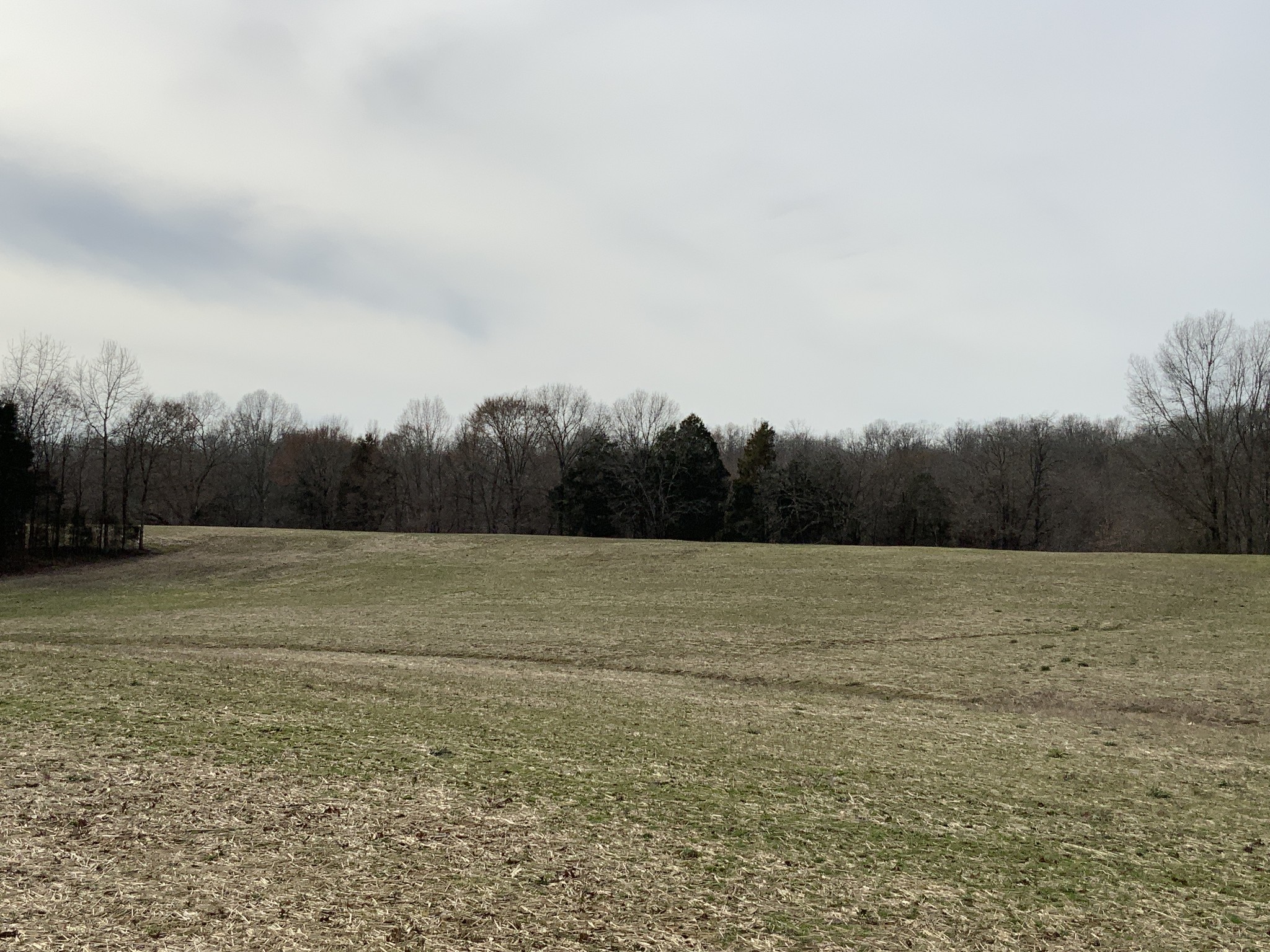 0 Ross Road McKenzie, TN 38201 - Photo 22 of 30 a view of an outdoor space and a yard