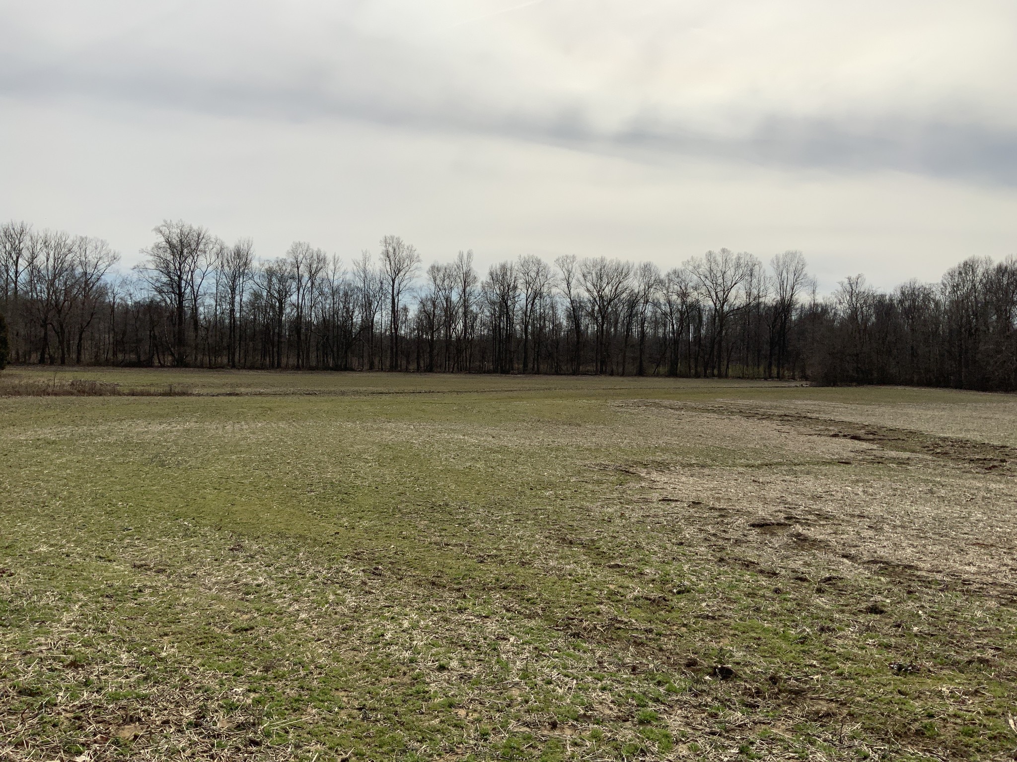 0 Ross Road McKenzie, TN 38201 - Photo 24 of 30 a view of a field with a city view