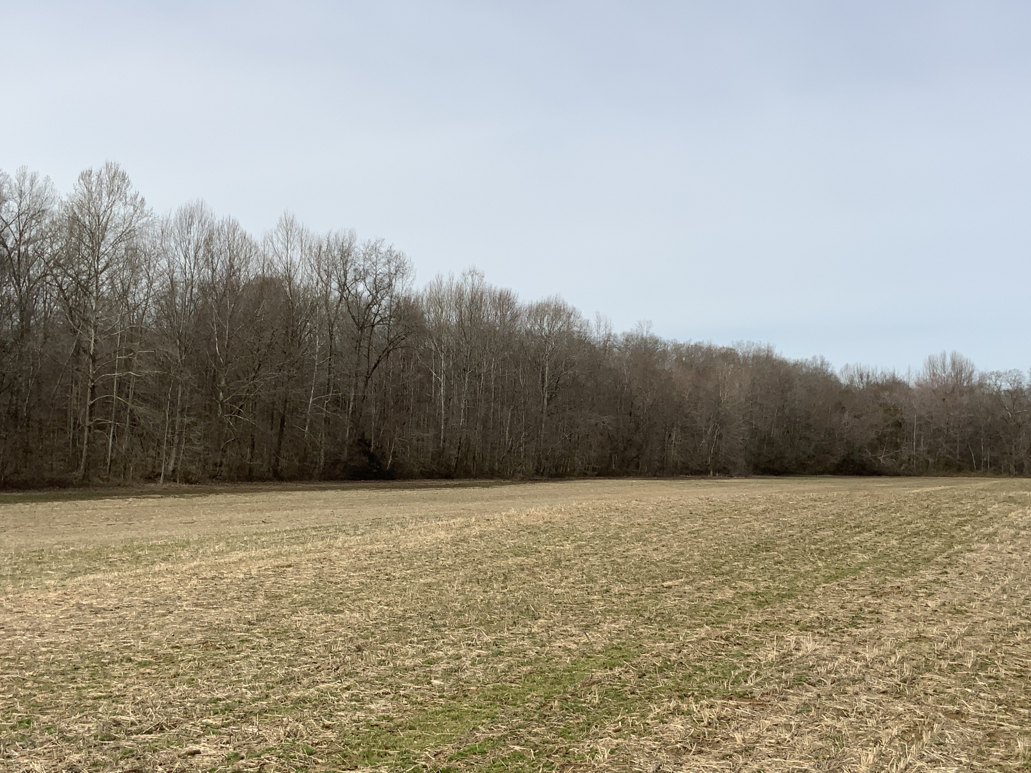 0 Ross Road McKenzie, TN 38201 - Photo 27 of 30 a view of basketball court