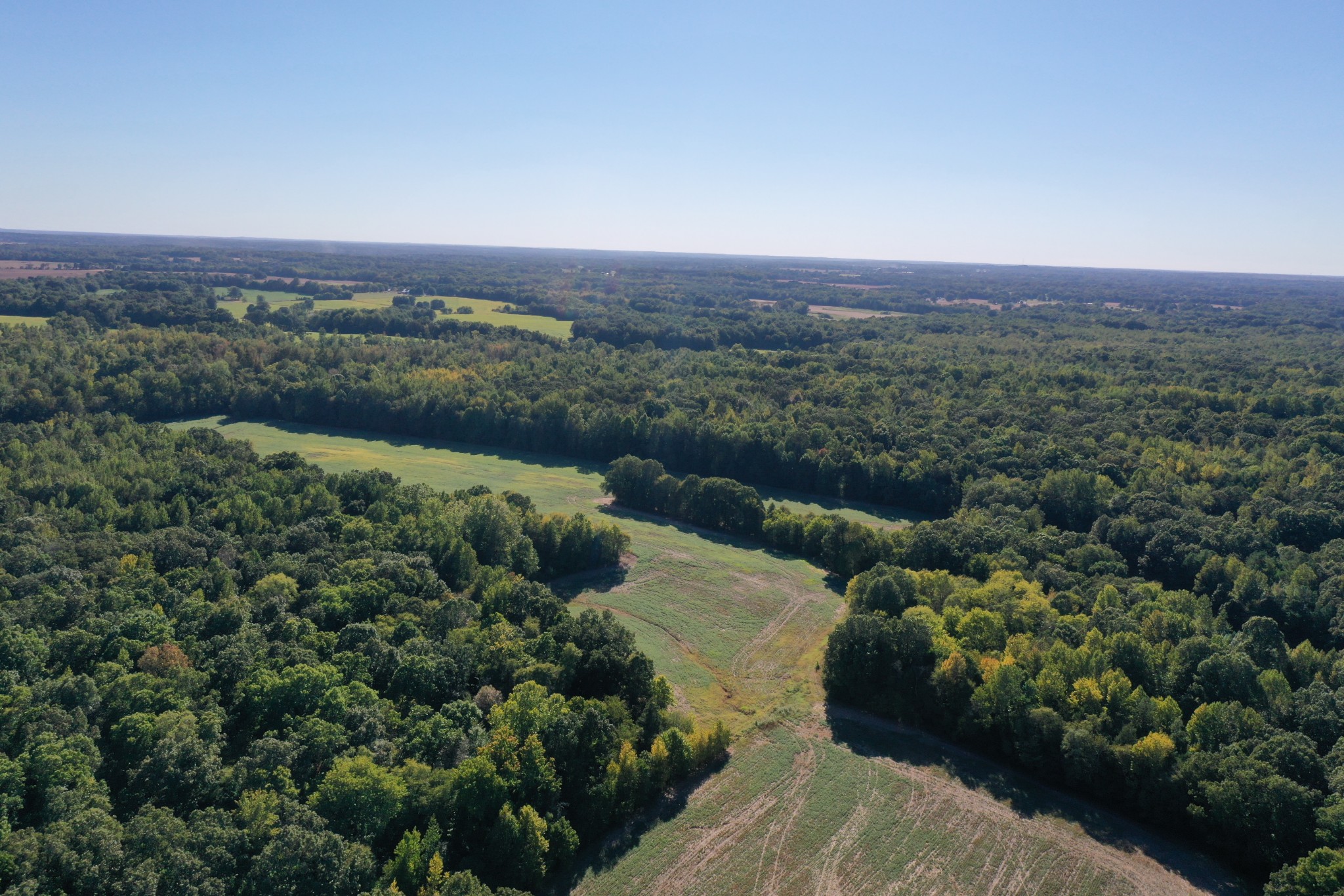 0 Ross Road McKenzie, TN 38201 - Photo 4 of 30 an aerial view of a house with a yard