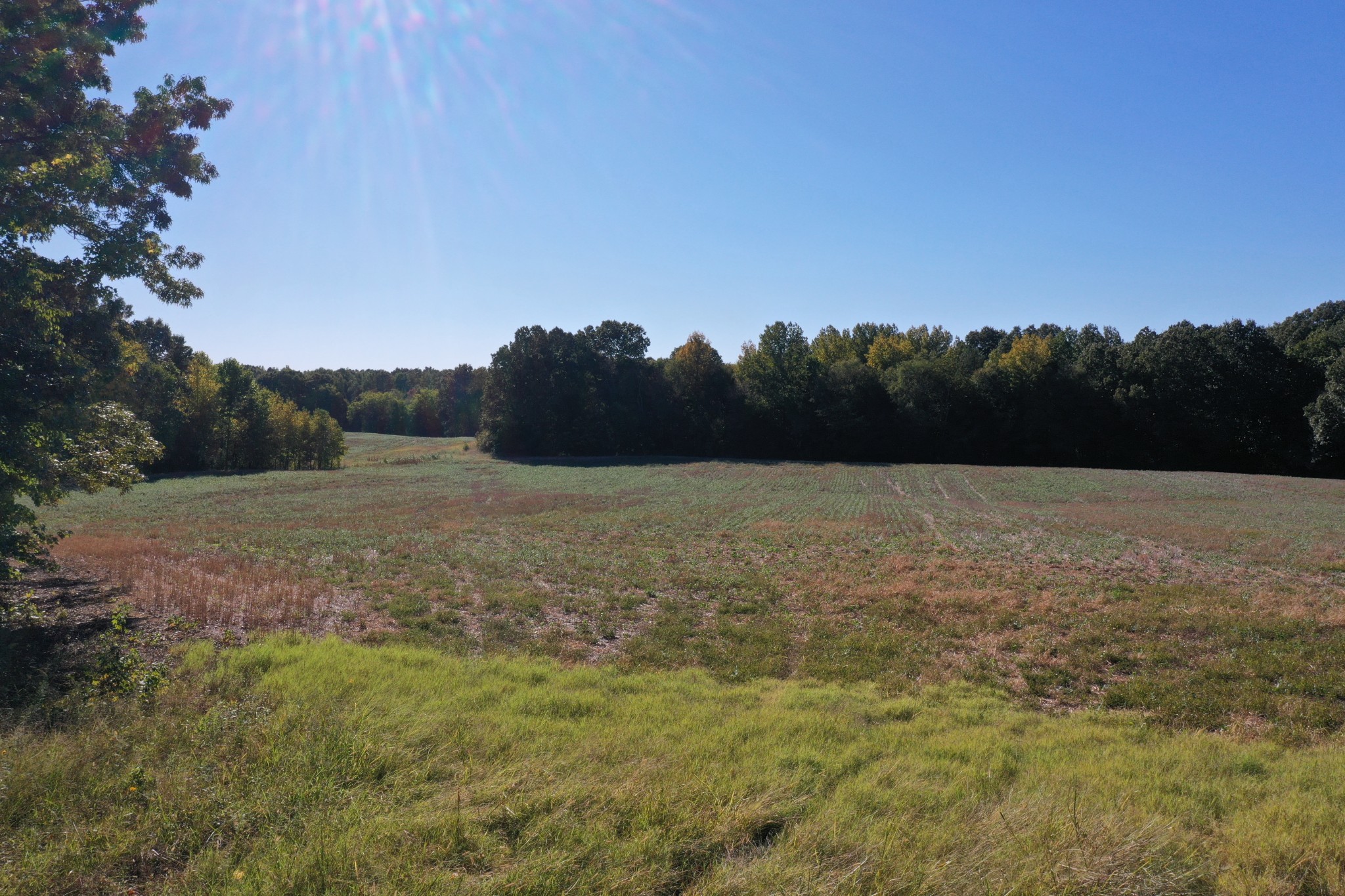 0 Ross Road McKenzie, TN 38201 - Photo 6 of 30 a view of a field with trees in the background