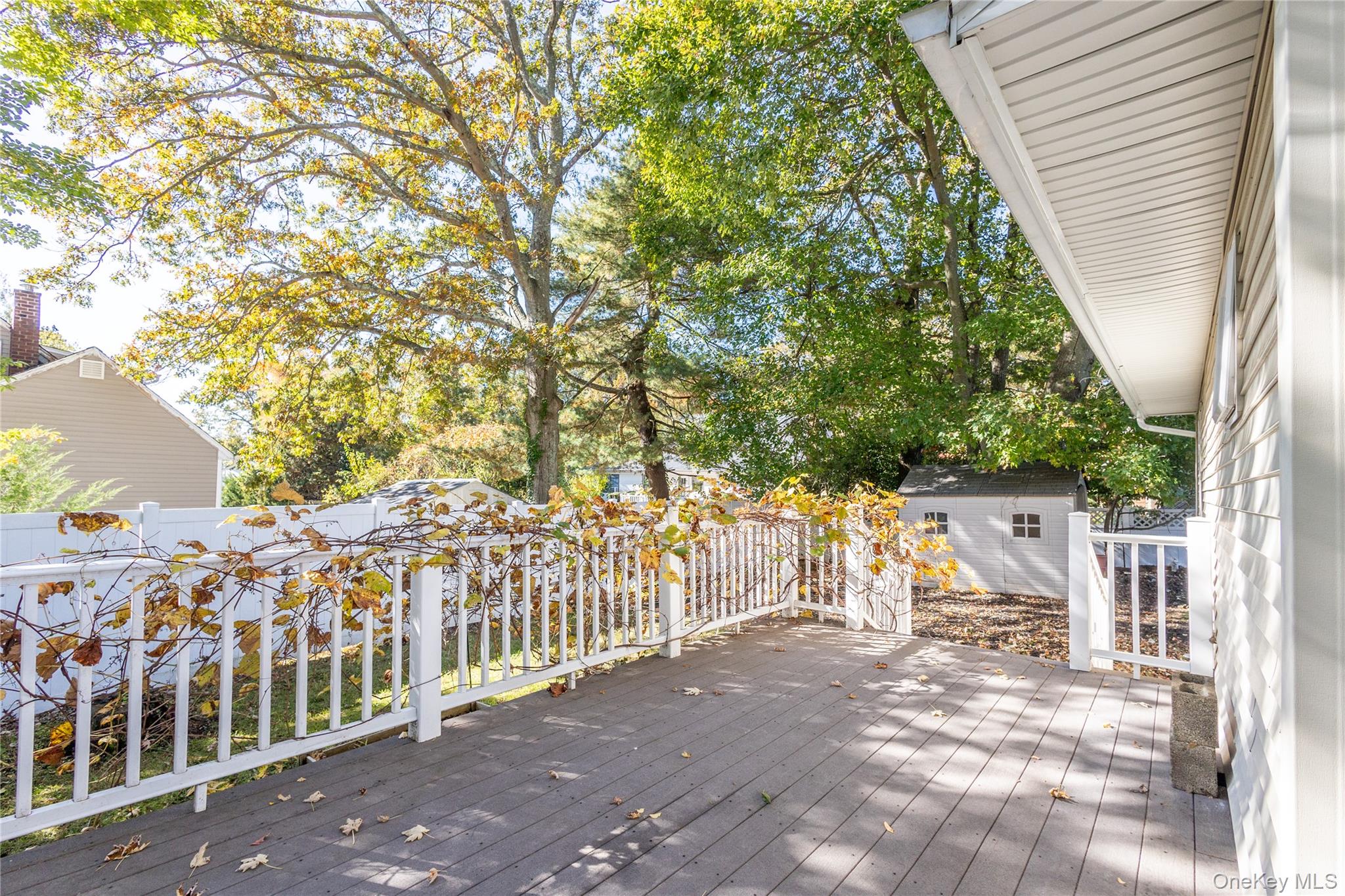 50 Prince Road Rocky Point, NY 11778 - Photo 19 of 30 a view of a large yard with plants and large trees