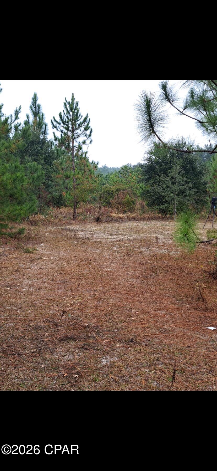 0 South River Road Satsuma, FL 32189 - Photo 5 of 6