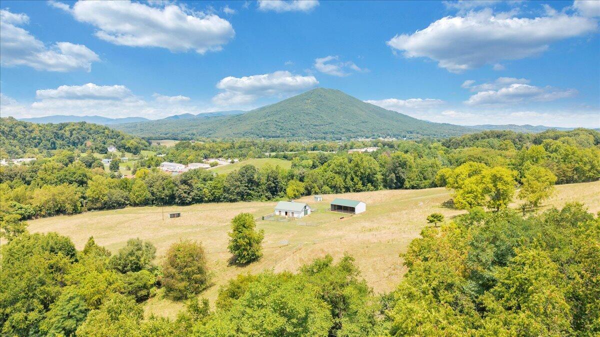 544 Pico Road Buchanan, VA 24066 - Photo 123 of 164 117-DJI_20260803085437_0060_D