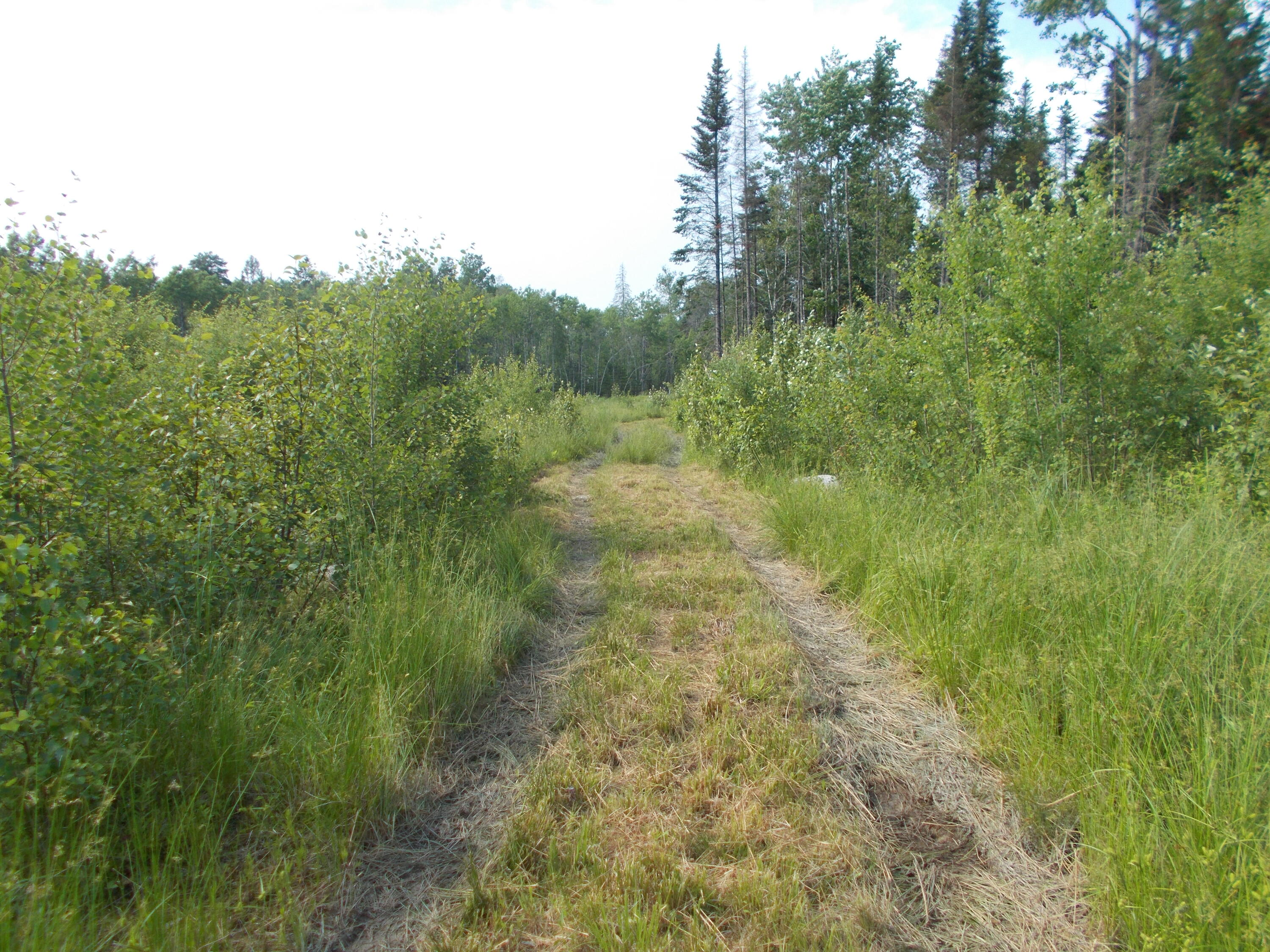 Lot 13 Canaan Road Pittsfield, ME 04967 - Photo 13 of 14 DSCN2532