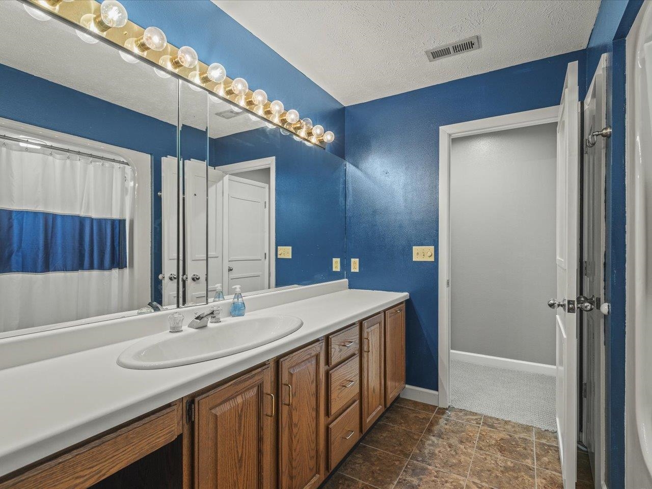 9104 East Weber Road Ridott, IL 61067 - Photo 36 of 96 a bathroom with a sink double vanity and a mirror
