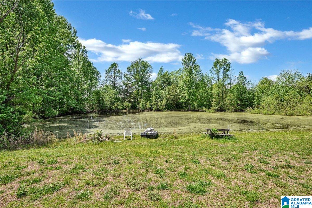 888 County Road 1663 Cullman, AL 35058 - Photo 16 of 20