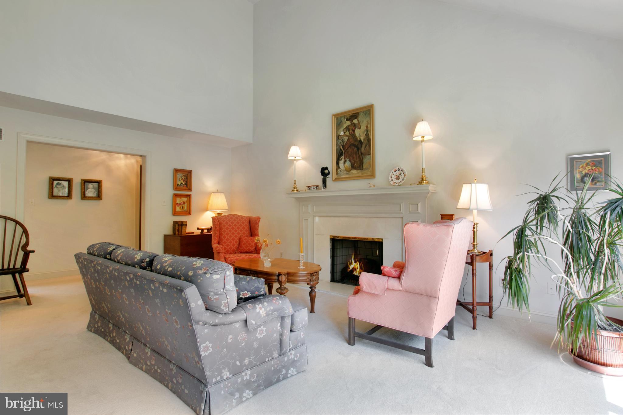 Living Room with Fireplace