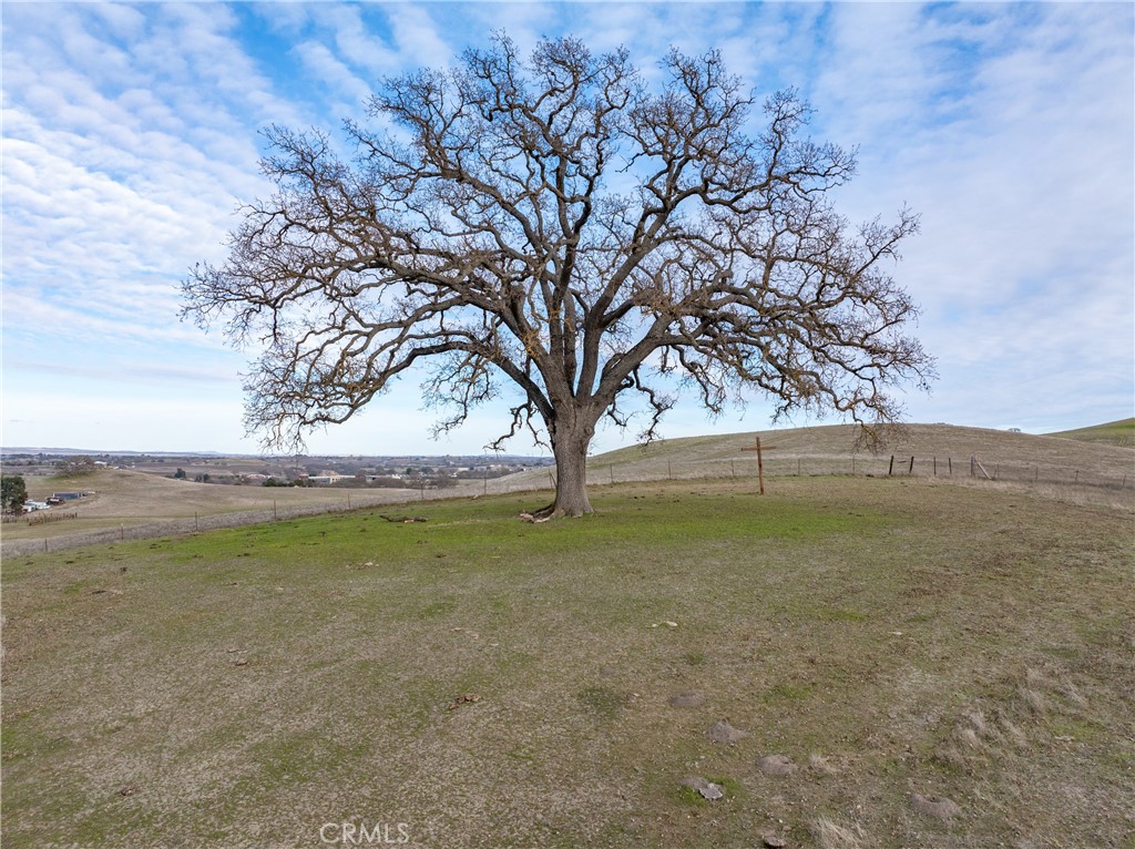 2450 Golden Hill Road Paso Robles, CA 93446 - Photo 9 of 24