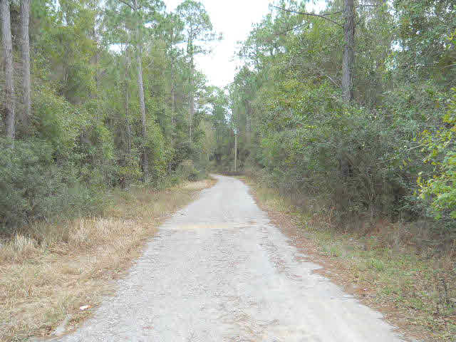 11750 Bay Road West Foley, AL 36535 - Photo 1 of 1