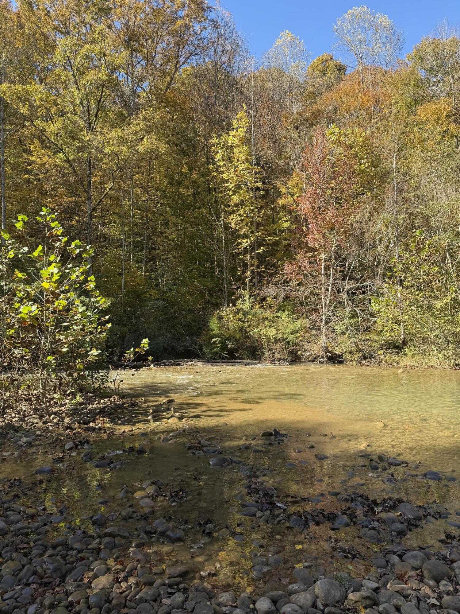 3895 Coppinger Cove Road Sequatchie, TN 37374 - Photo 17 of 26 IMG_0332