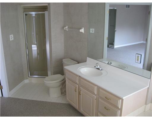 164 Shadow Ridge Drive Pittsburgh, PA 15238 - Photo 12 of 18 Master Bath/Spa. VANITY AND SHOWER IN MASTER BATH