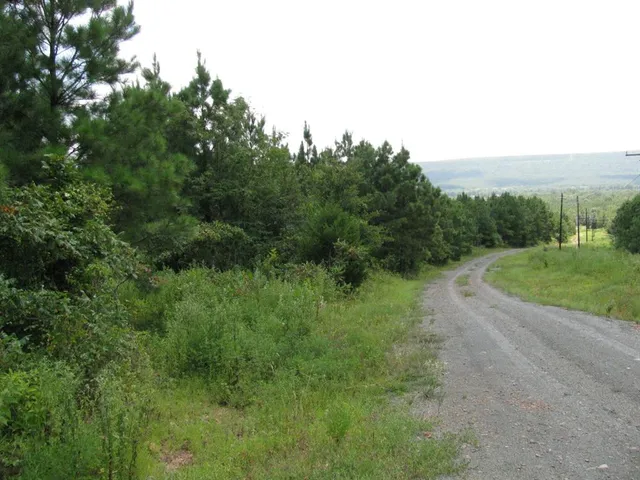 a view of a grassy field with trees