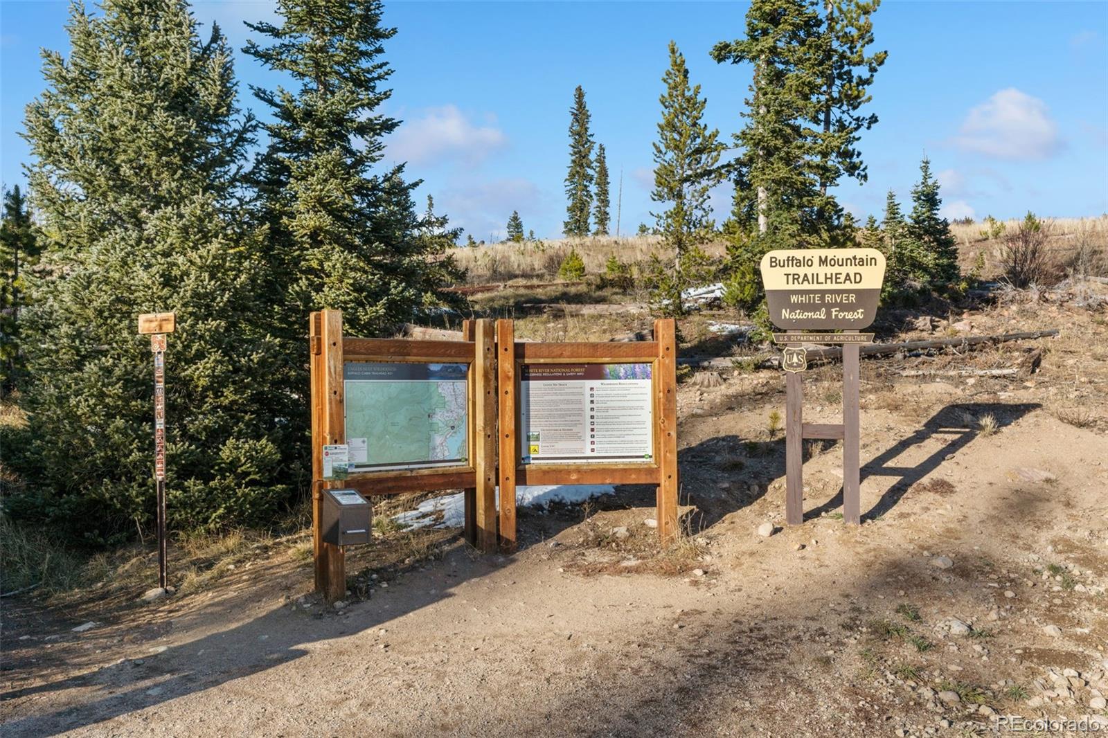 91100 Ryan Gulch Road, Unit 91122 Silverthorne, CO 80498 - Photo 38 of 43