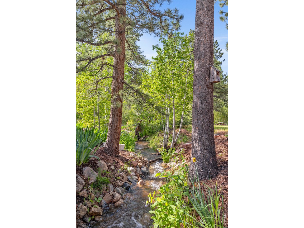 428 Rustic Road Bellvue, CO 80512 - Photo 36 of 43