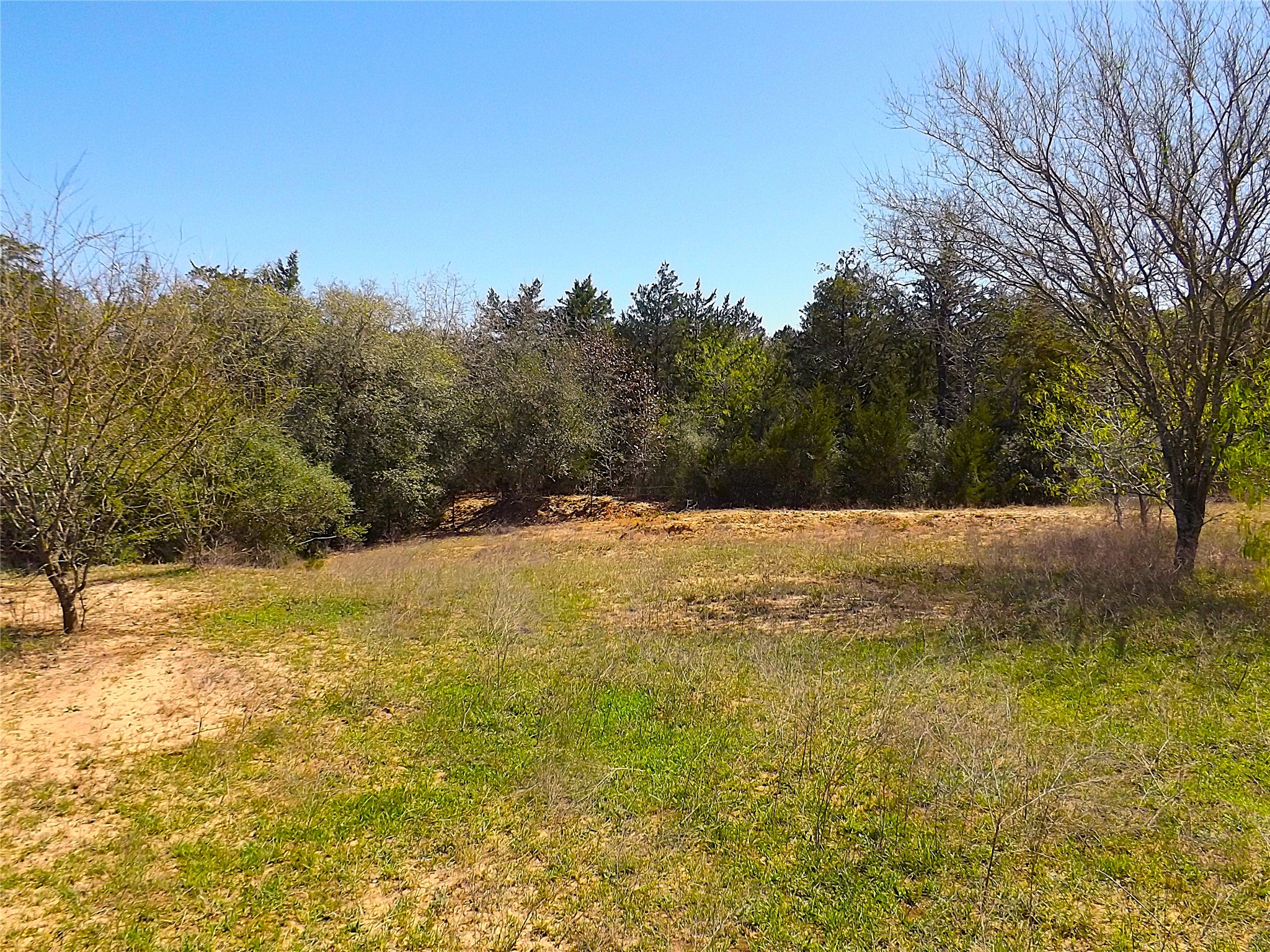 1649 County Road 209 Weimar, TX 78962 - Photo 7 of 27 a view of yard and mountain view
