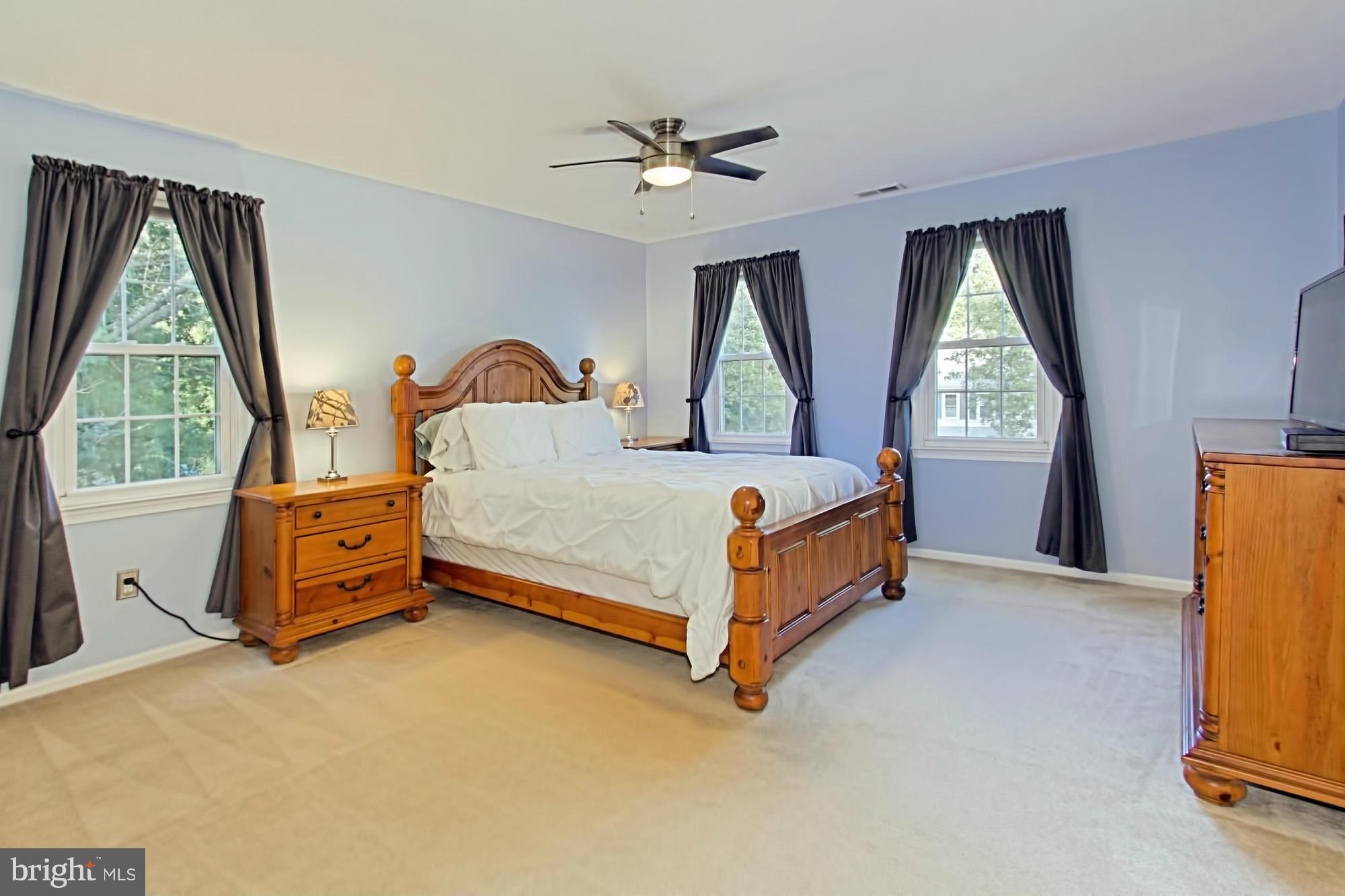 10041 Marshall Pond Road Burke, VA 22015 - Photo 14 of 30 Spacious, bright Master Bedroom