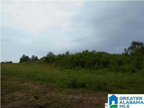 Marvin Adcock Road, Unit 31 Hayden, AL 35079 - Photo 3 of 6