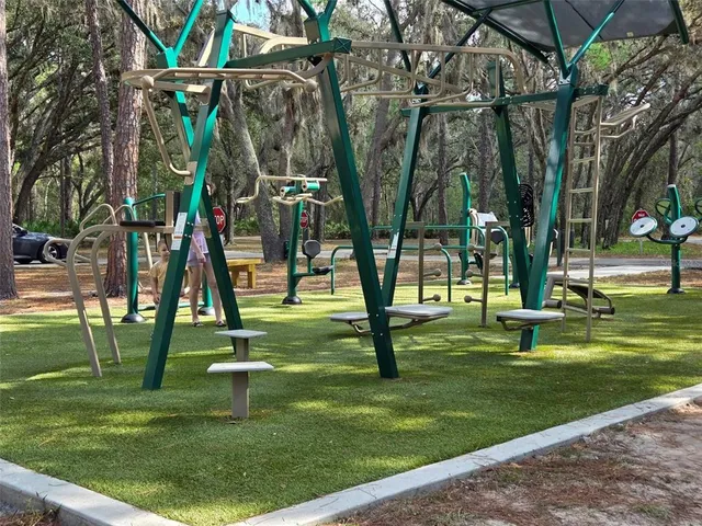 a view of a park that has a tree on the side of it