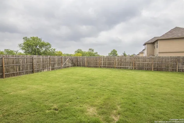 a view of a yard with a large trees