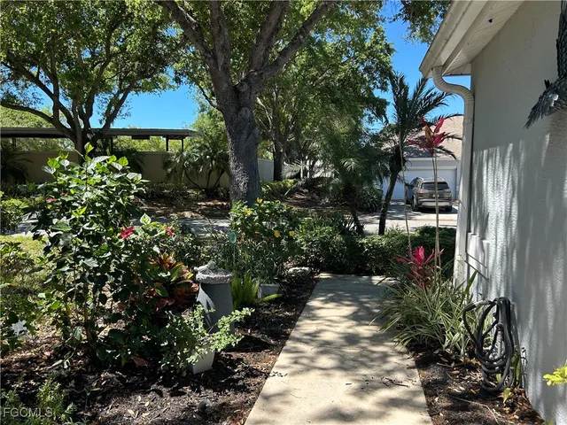 a view of a pathway with a tree