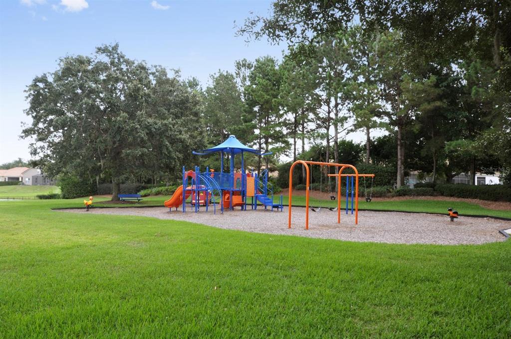 11355 Arborside Bend Way Windermere, FL 34786 - Photo 30 of 32