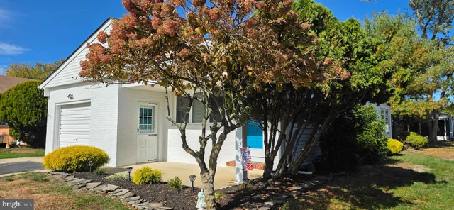 a view of a backyard with large trees