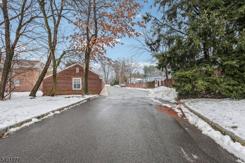 445 Morris Avenue, Unit D11 Springfield, NJ 07081 - Photo 14 of 16 a road view with large trees