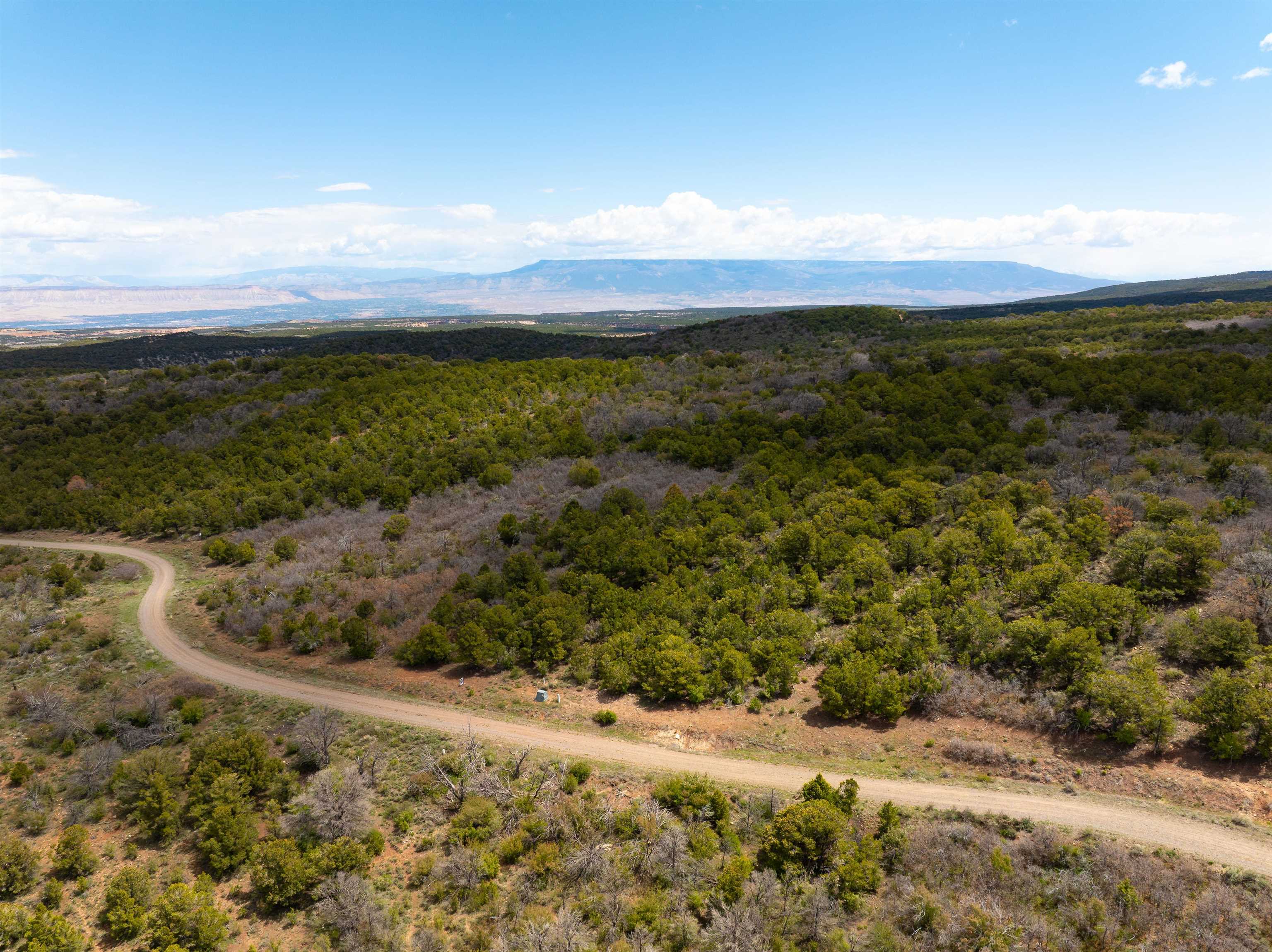 Lot 16 Elk Reserve Road Glade Park, CO 81523 - Photo 11 of 15 a view of a ocean with top of a building