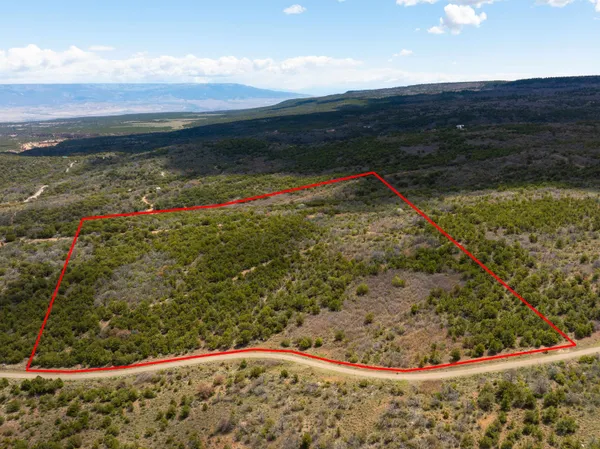 a view of an outdoor space