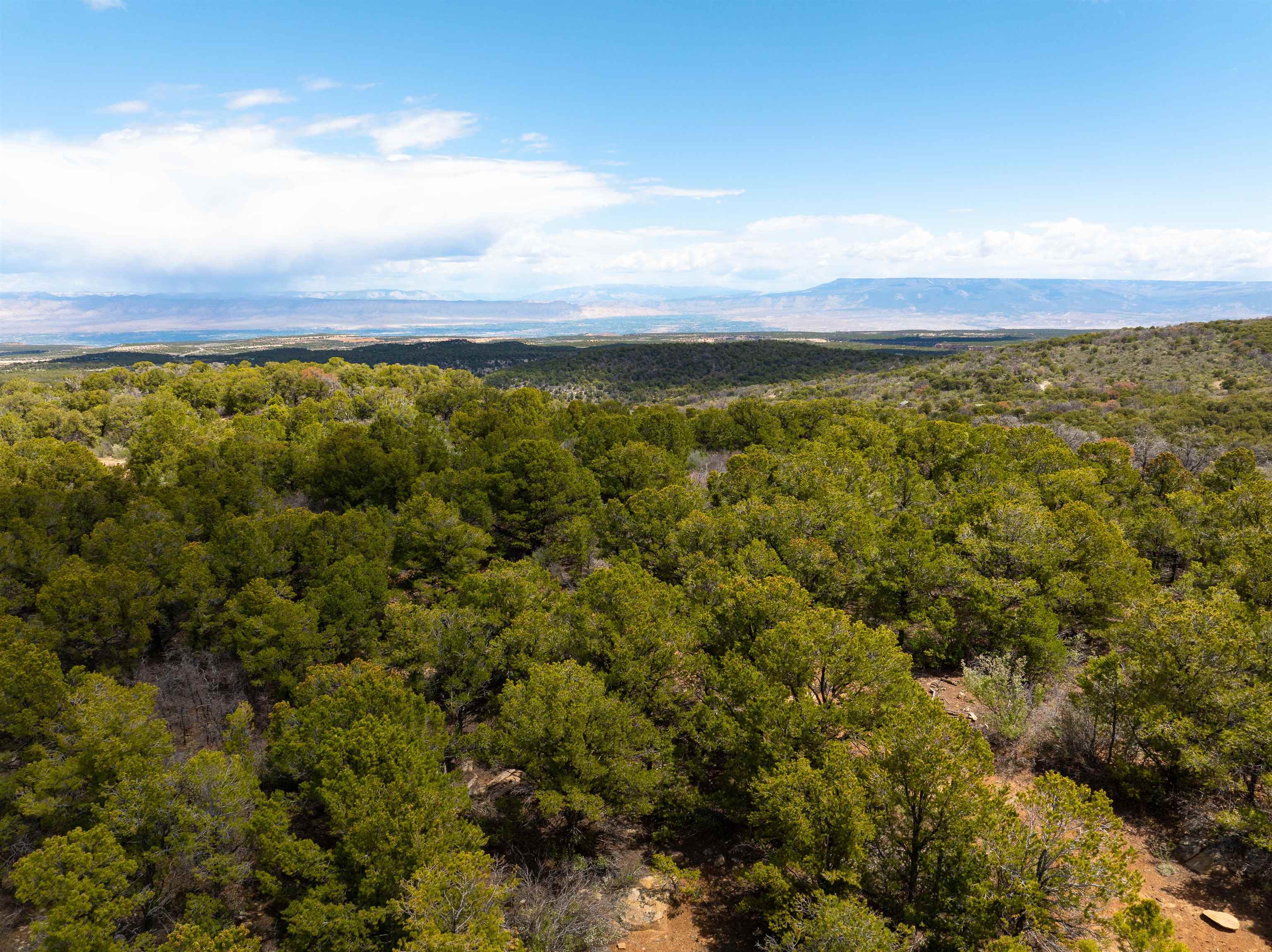 Lot 16 Elk Reserve Road Glade Park, CO 81523 - Photo 5 of 15 a view of an outdoor space and a lake view