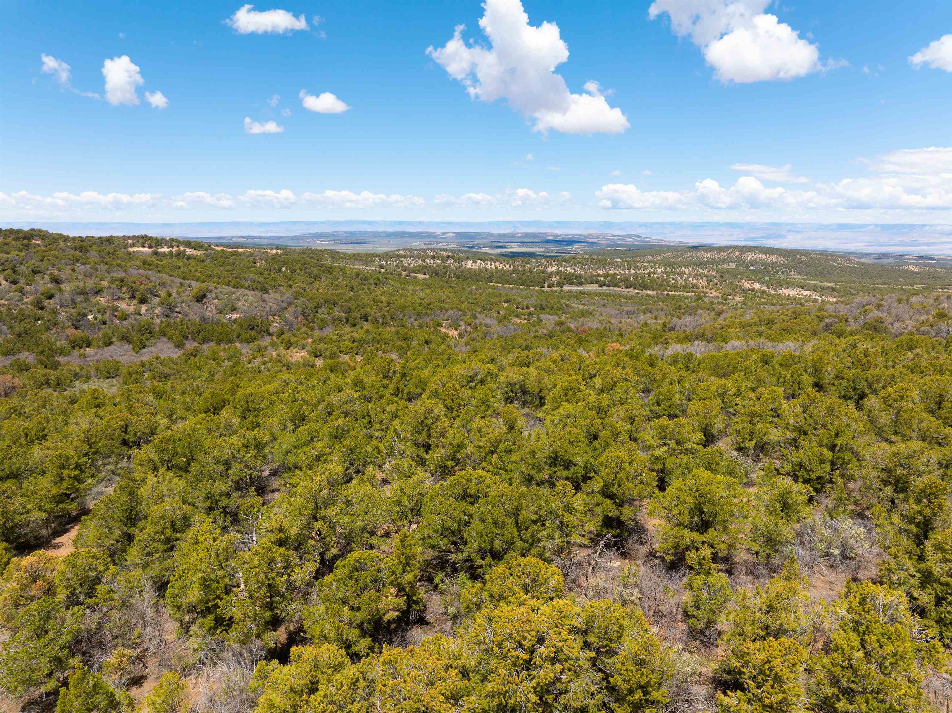 Lot 16 Elk Reserve Road Glade Park, CO 81523 - Photo 6 of 15 a view of an ocean
