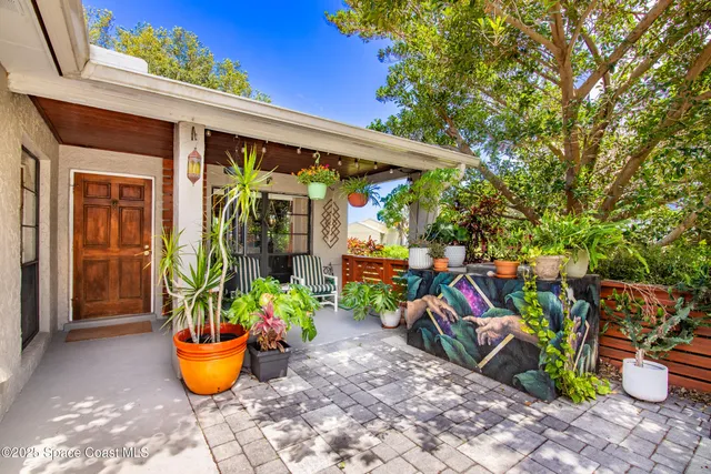 a view of a sitting area with some potted plants