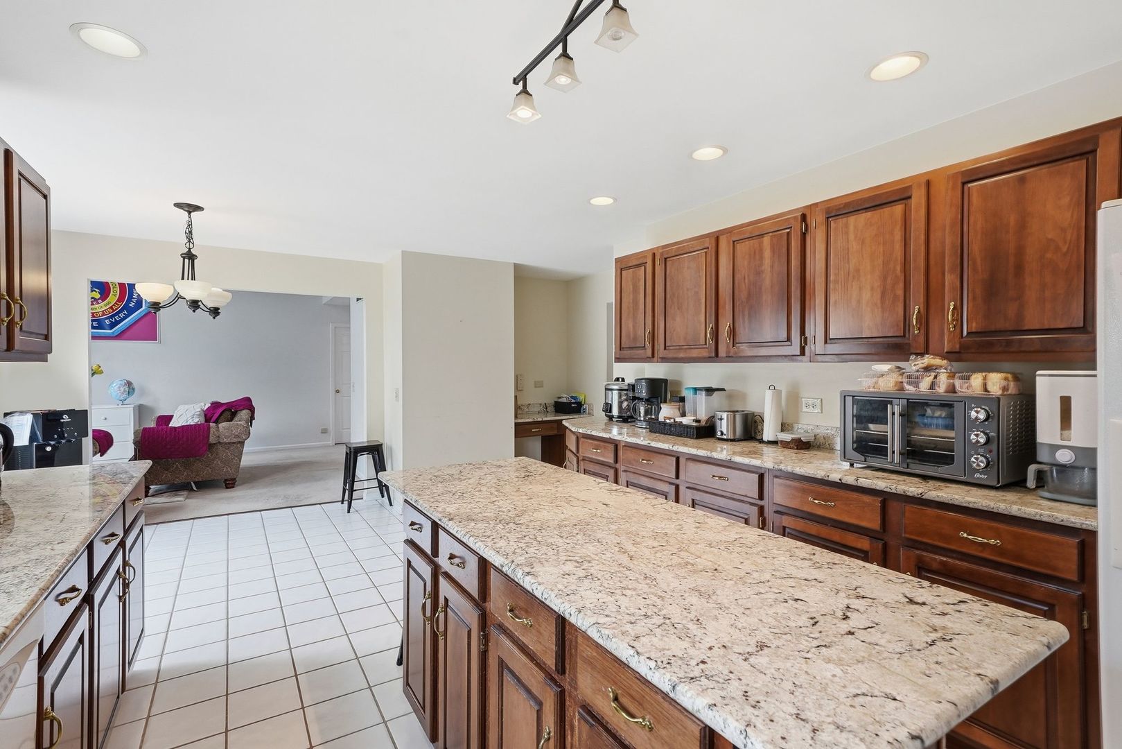 930 Ripple Brook Lane Elgin, IL 60120 - Photo 10 of 43