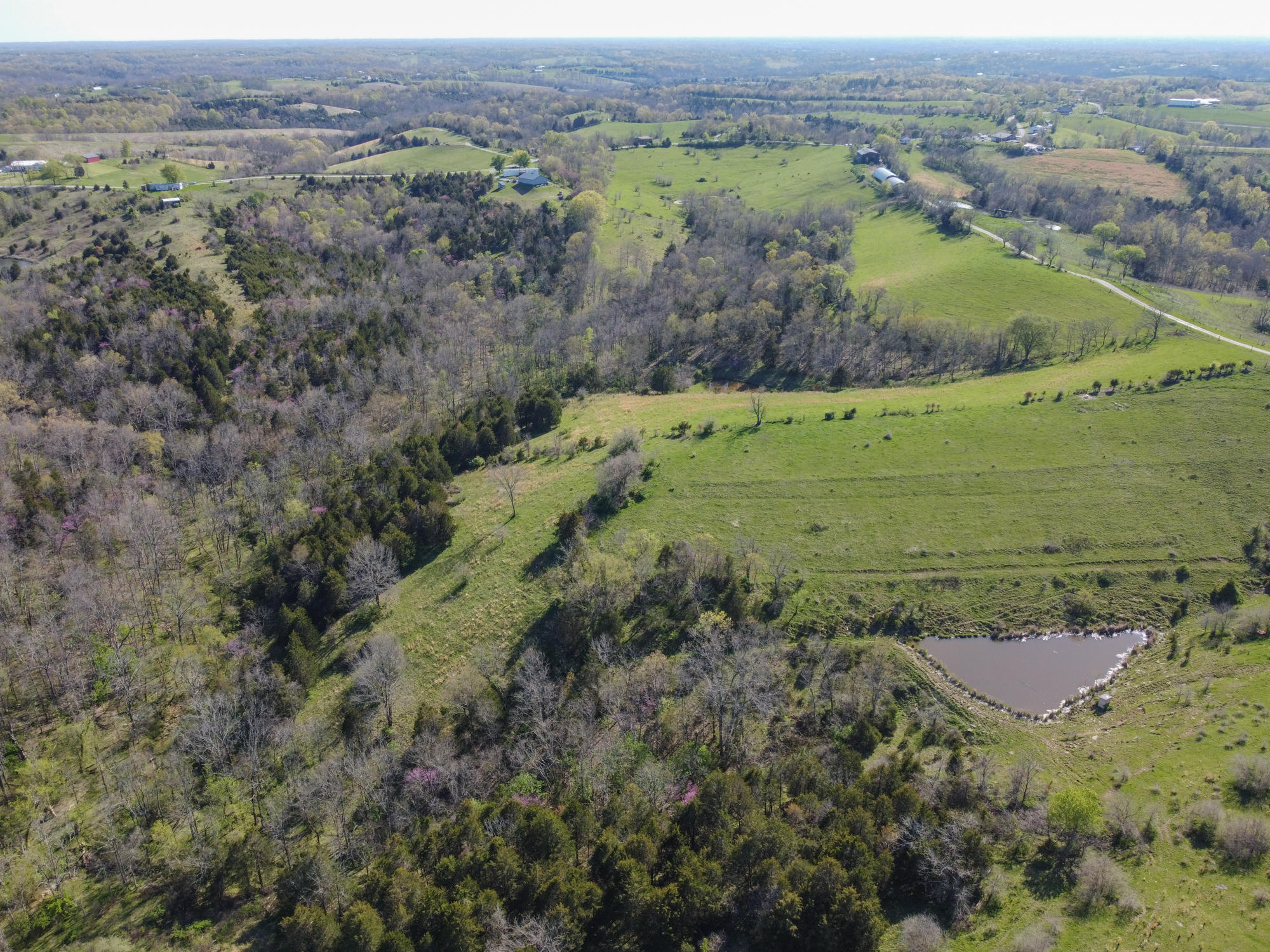 214-acres Keefer Road Corinth, KY 41010 - Photo 36 of 39 Keefer-40