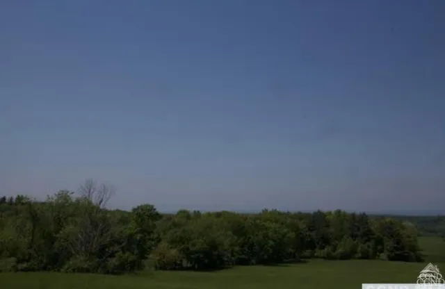 a view of a field with trees in background