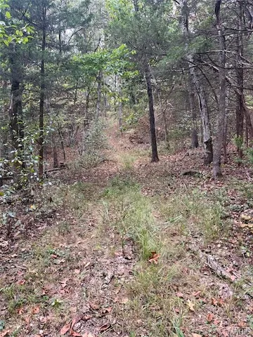 $599,000 | 28 Monroe Hills Lane, Linn, MO 65051