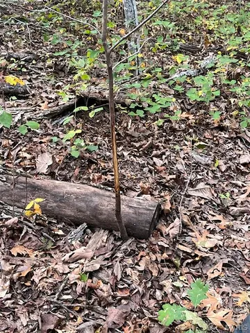 $599,000 | 28 Monroe Hills Lane, Linn, MO 65051