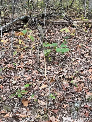 $599,000 | 28 Monroe Hills Lane, Linn, MO 65051