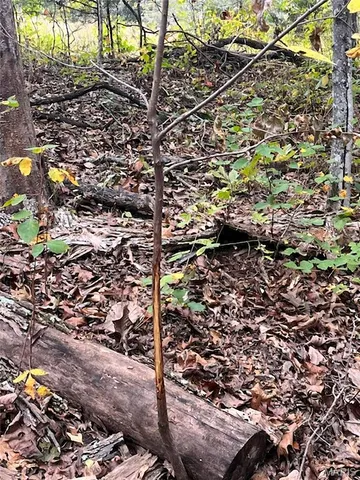 $599,000 | 28 Monroe Hills Lane, Linn, MO 65051