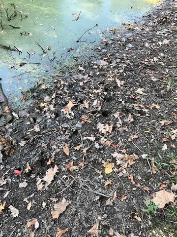 $599,000 | 28 Monroe Hills Lane, Linn, MO 65051