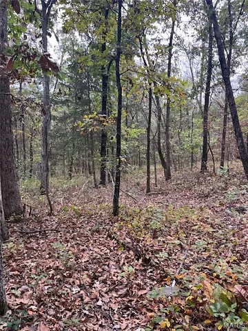 $599,000 | 28 Monroe Hills Lane, Linn, MO 65051