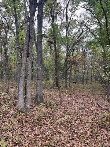 $599,000 | 28 Monroe Hills Lane, Linn, MO 65051