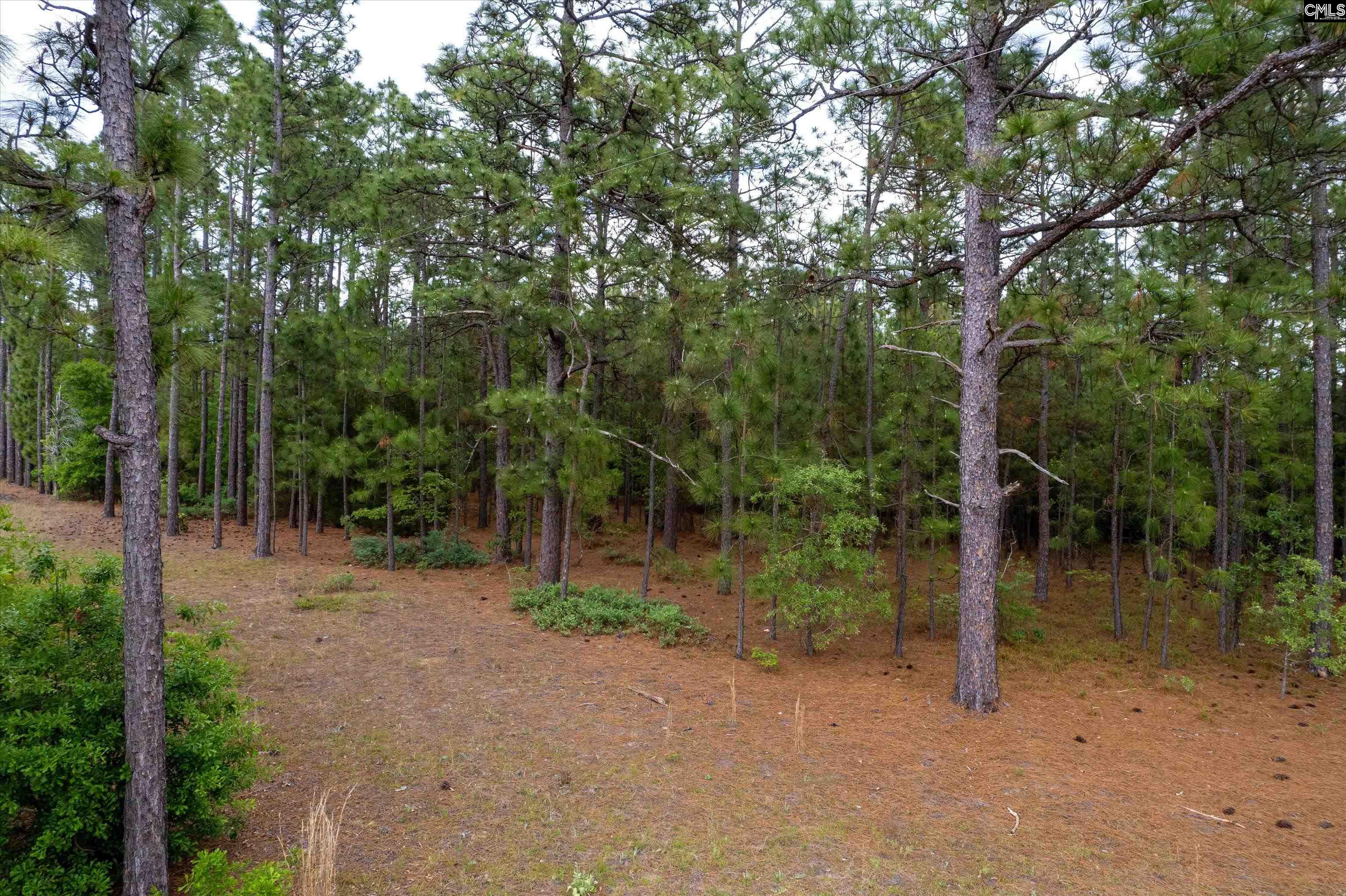 0 Pond Branch Road Gilbert, SC 29054 - Photo 2 of 12
